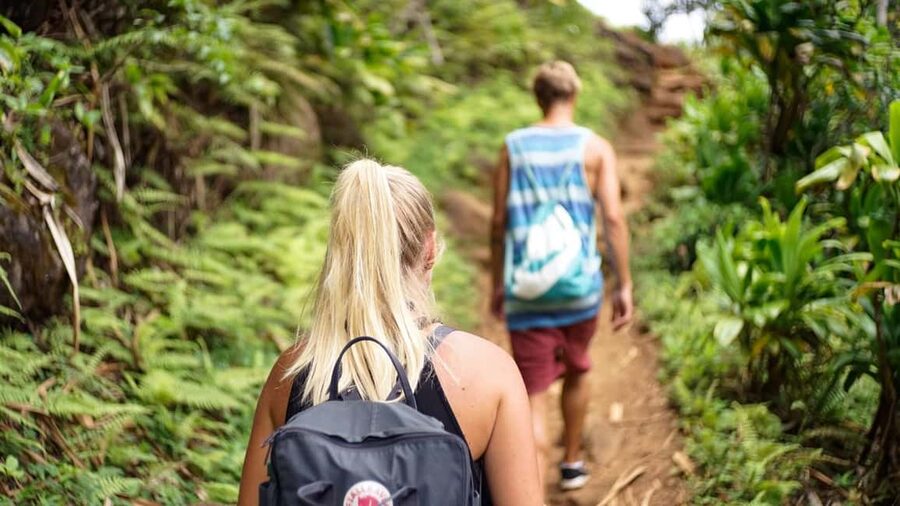 Kathmandu: Shivapuri National Park Hiking Day Trip - What to pack for the trail