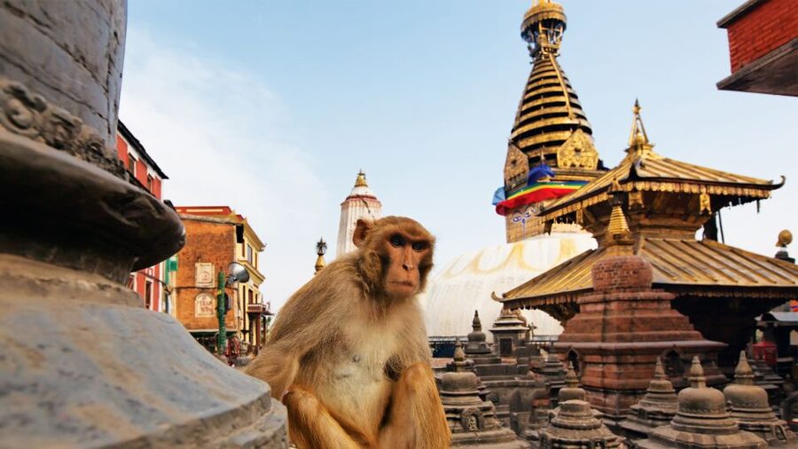 Kathmandu : Swambhunath & Durbar Square Guided Half Day Tour - Why This Four-Hour Tour Works