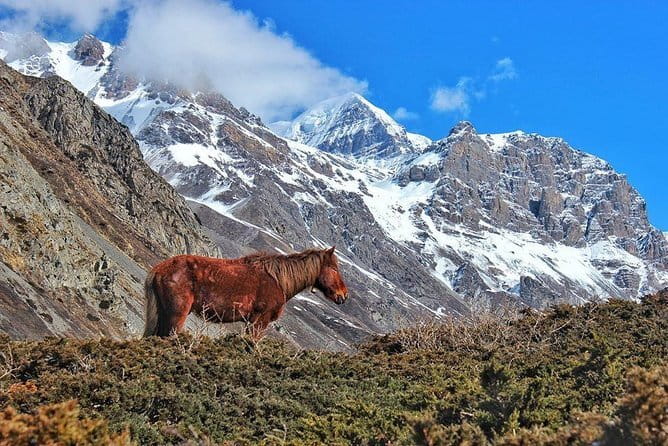 Kathmandu to Langtang Valley 7-Day Trek - Day Seven: Shared Transport Back to Kathmandu
