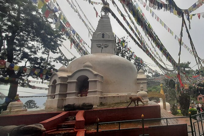 Kathmandu Top 4 or 2 UNESCO World Heritage Sites Day Tour - Pashupatinath, Kathmandu’s powerful Hindu shrine
