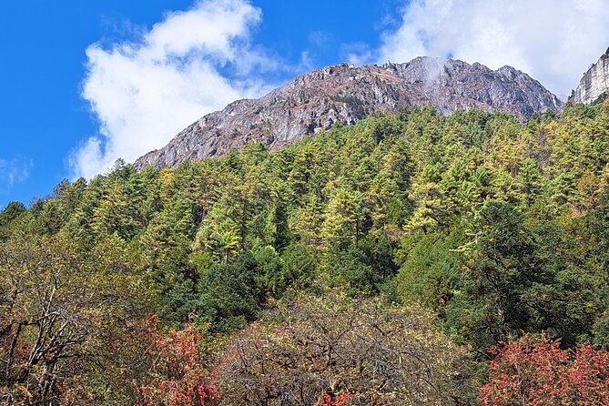Makalu Base Camp Trek - Days 7 and 8: Rhododendron country and open valleys