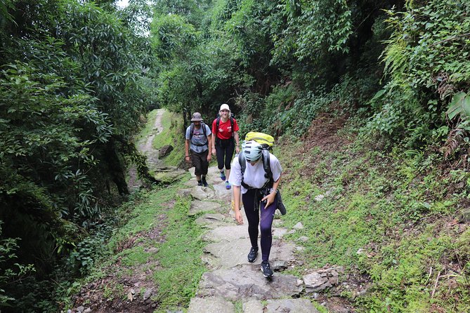 Mardi Himal Base Camp Trek (5 Days) - The best parts of the Mardi Himal route