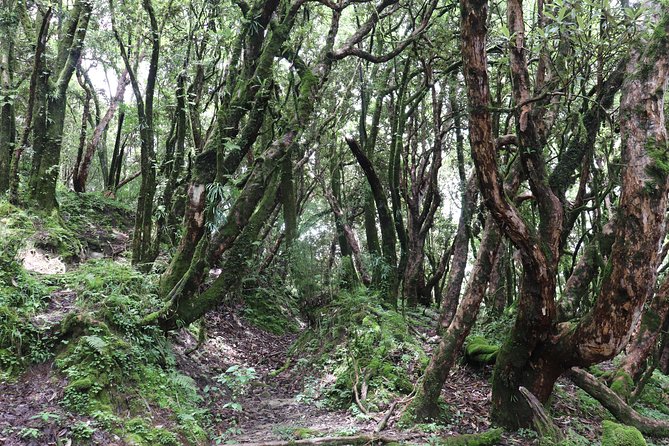 Mardi Himal Base Camp Trek (5 Days) - The guide can make the difference