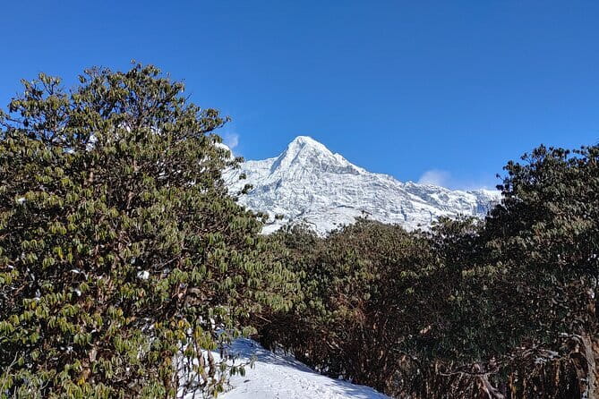 Mardi Himal Trek - Why the Mardi Himal route works in five days