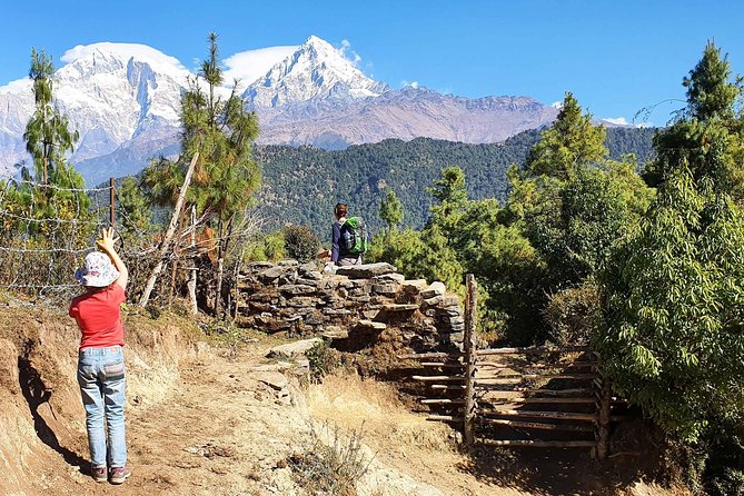 Mohare Danda Trek - Day 8: The final mountain walk to Baseri