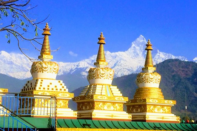 Morning Tibetan cultural tour to Tibetan settlements Pokhara - Pema Ts’al Sakya Monastic Institute and young monastic life
