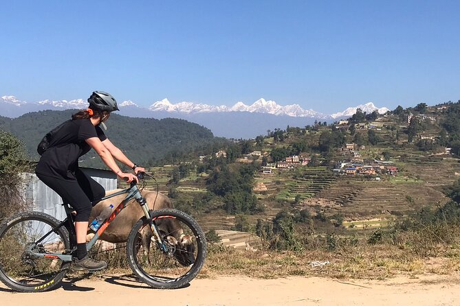 Mountain Bike Tour - Why this bike tour offers more than city sightseeing