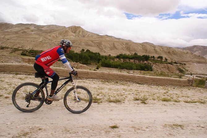 Mountain Bike Tour - Equipment, safety, and physical demands
