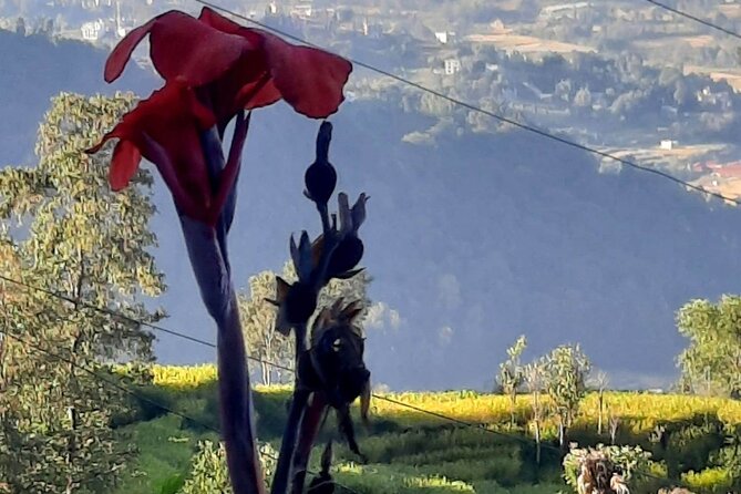 Nagarkot (2175m) Sunrise and Day Hike to Changunarayan Temple - The predawn drive from Thamel