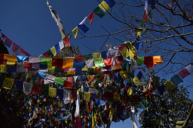 Namo Buddha and Thrangu Tashi Yangtse Monastery Half-Day Tour - Namo Buddha Stupa, the spiritual center of the trip