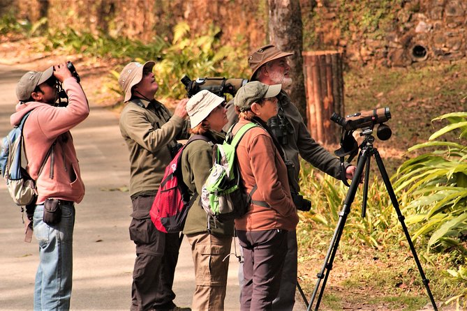 Nepal Birding - Gadhi-Siraichuli and the hilltop reward