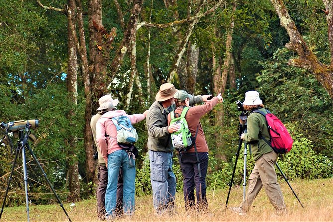 Nepal Birding - The value of a $225 private tour