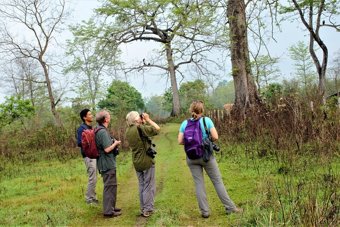 Nepal Birding - What the day feels like in practice