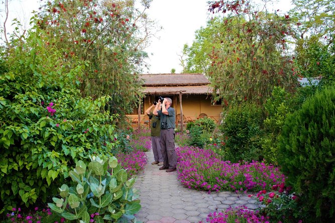 Nepal Birding - The important route question: Shivapuri or Chitwan?
