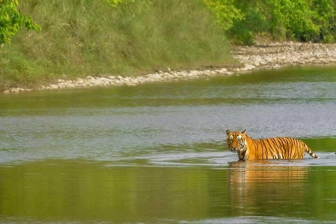 Nepal Classic Tour -12 Days - Day 6: Lumbini and the birthplace of Buddha