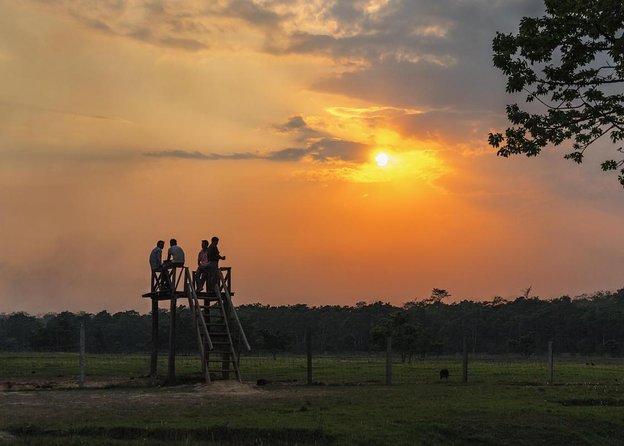 Nepal in Luxury: Kathmandu, Chitwan & Pokhara Escape – 8 Days - Key points at a glance