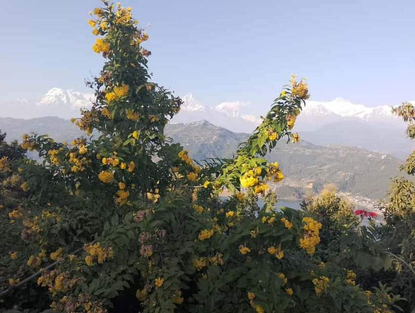 Peace & Panorama: Stupa and Pumdikot Scenic Drive Tour - Is $32 per person good value?