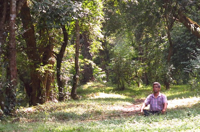 Pharping Asura Cave Meditation Tour - Who will enjoy this experience most