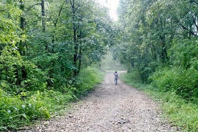 Phulchoki bird-watching tour - Godawari and the Naudhara forest trail