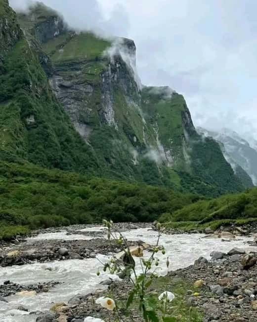 Pkr/Kathmandu: 5-Day Annapurna Base Camp & Hot spring Trek - Day 3: Machhapuchare Base Camp and Annapurna Base Camp