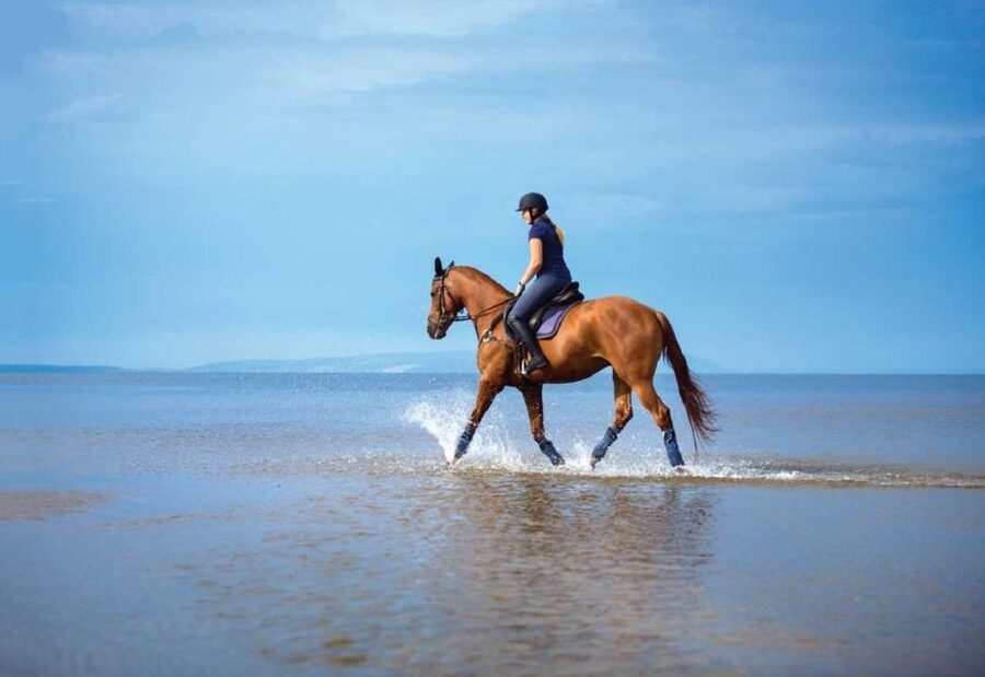 Pokhara: 1-Hour Horseback Ride with Hotel Pickup - Practical Tips for a Better Ride