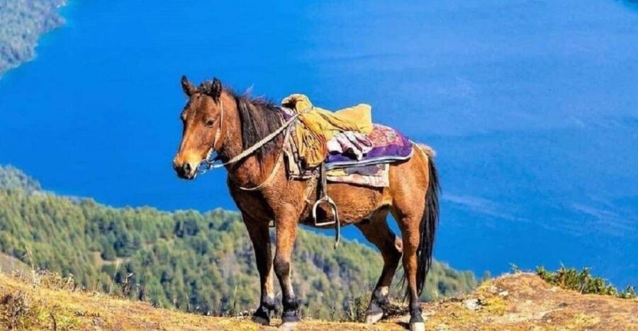 Pokhara: 1-Hour Horseback Ride with Hotel Pickup - Hotel Pickup Around Pokhara Lakeside