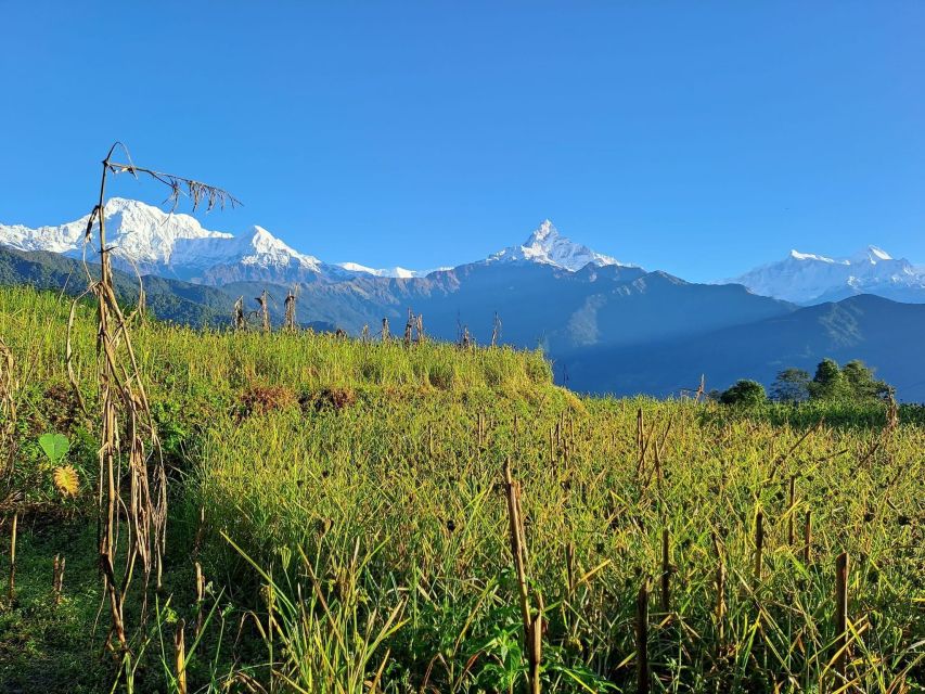 Pokhara: 2-Day Australian Camp & Dhampus Village Easy Hike - Key points at a glance