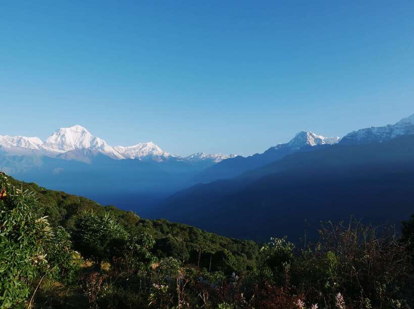 Pokhara: 2-Day Short & Sweet Ghorepani Poon Hill Guided Trek - The steep descent through Ulleri and Hile