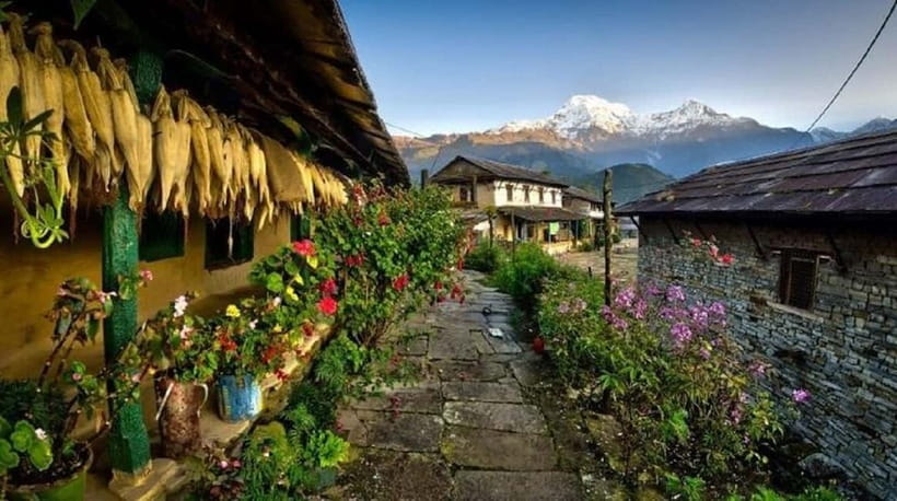 Pokhara: 3-Day Ghorepani, Poon Hill & Ghandruk Guided Trek - Day two: Poon Hill sunrise and the trail toward Ghandruk