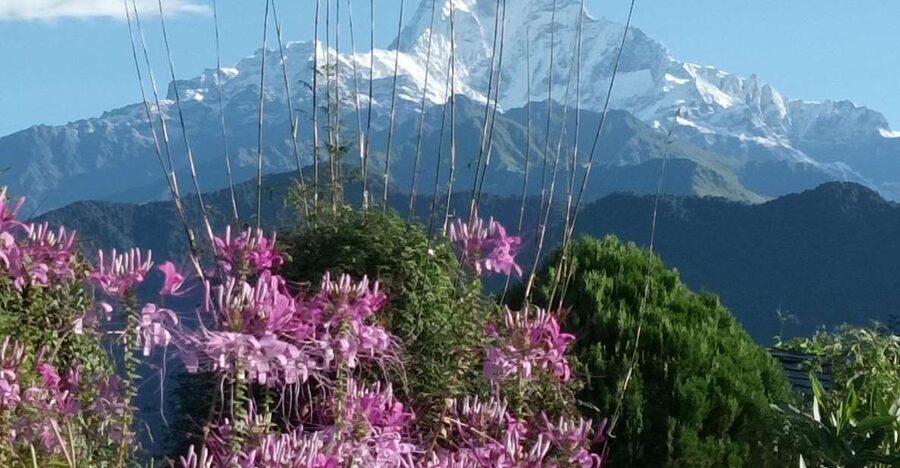 Pokhara: 3-Day Trek - Key points at a glance