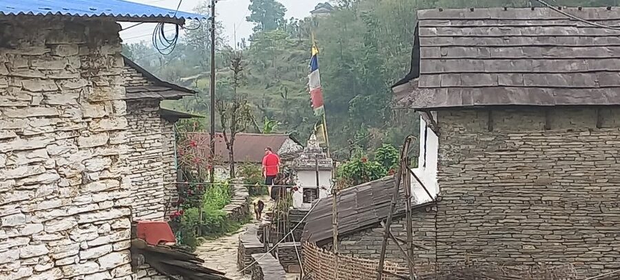 Pokhara: 3-Day Trek - What the guide and porter add