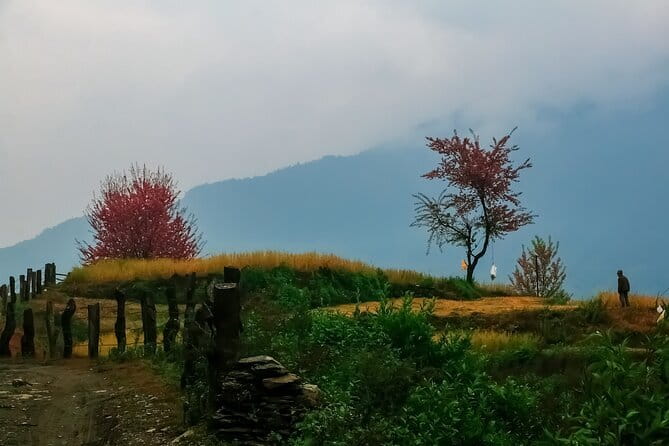 Pokhara 3 Days Ghorepani and Poon Hill Private Trek via Ghandruk - Food, lodging, and what to pack for comfort