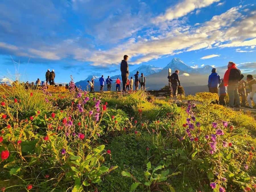 Pokhara: 3- days Poon Hill Trek - Day two: Rhododendrons and the approach to Ghorepani