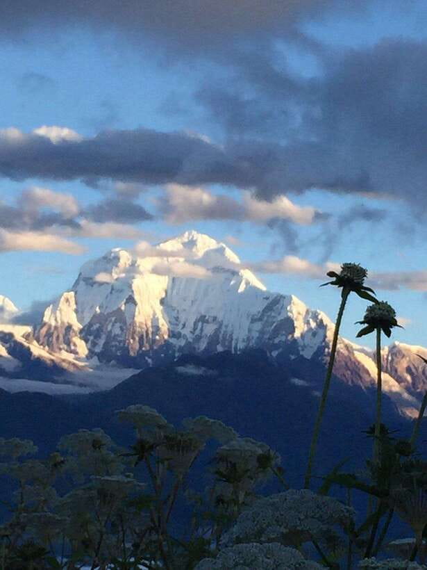 Pokhara: 3 days Trek to Poon hill - Gobinda’s role on the trail