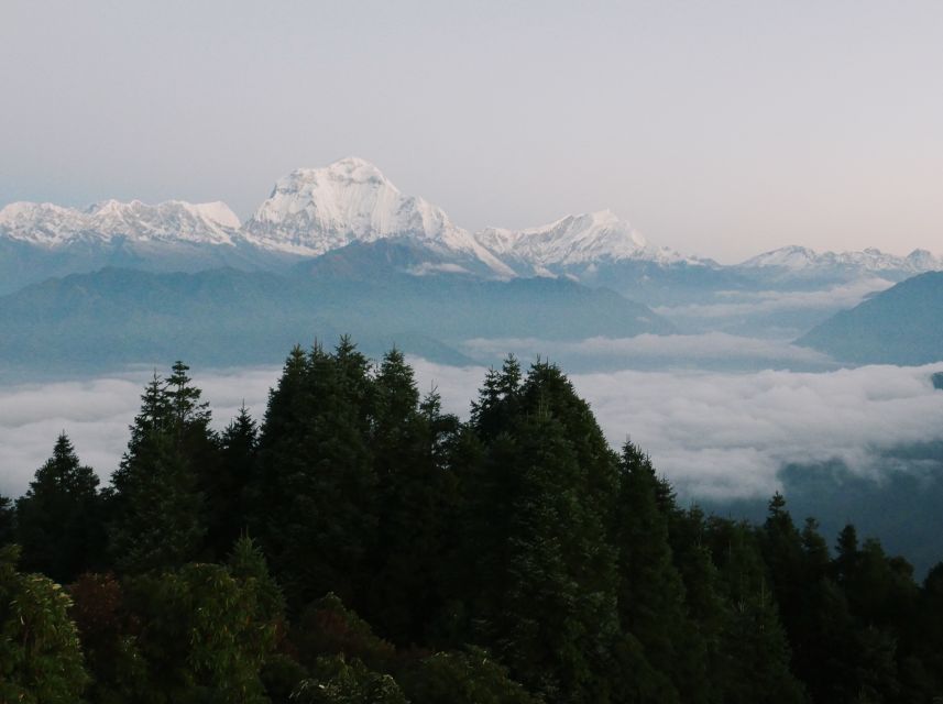 Pokhara:4-Day Ghorepani Poon Hill Guided Trek via Ghandruk - Day four: Ghandruk, Nayapul, and back to Pokhara