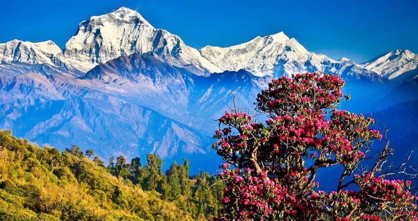 Pokhara: 4-Day Ghorepani, Poonhill & Ghandruk Mountain Trek - Why this short Annapurna route works so well