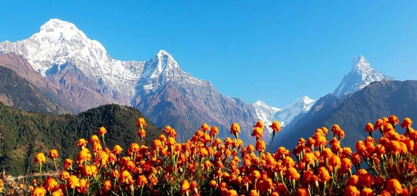 Pokhara: 4-Day Ghorepani, Poonhill & Ghandruk Mountain Trek - Day 1: Naya Pul to Ulleri and the first hard climb