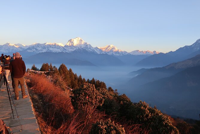 Pokhara: 4 Day Poon Hill Trek - Day four: down to Ghandruk