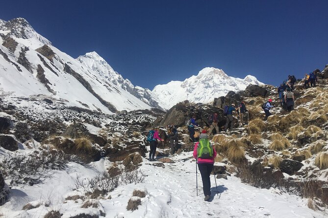 Pokhara: 4 Day Poon Hill Trek - The private format and the guide