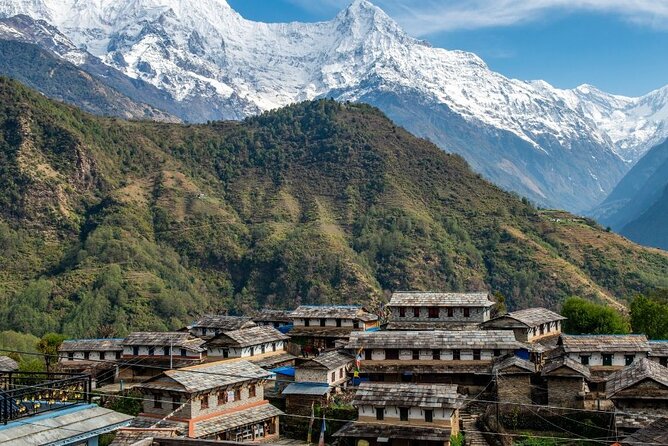 Pokhara: 4 Days Poon Hill and Ghandruk Trek - Day three: Poon Hill sunrise and the walk to Ghandruk