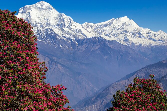 Pokhara: 4 Days Poon Hill and Ghandruk Trek - What the $350 price really covers