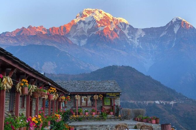 Pokhara: 4 Days Poon Hill and Ghandruk Trek - Day two: Ulleri to Ghorepani through rhododendron forest