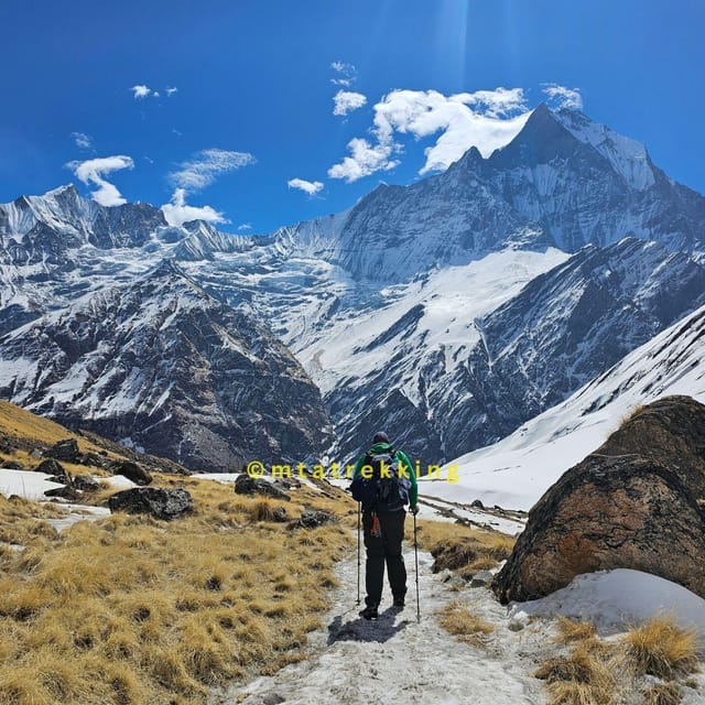 Pokhara: 5-Day Annapurna Base Camp (ABC) Trek - Day 5: Bamboo to Jhinu and back to Pokhara
