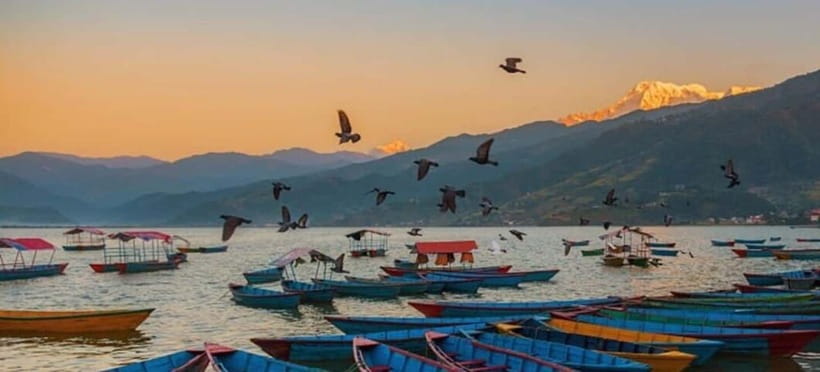 Pokhara: 5 Himalayan Viewpoints Guided Tour - A private car makes the long day easier
