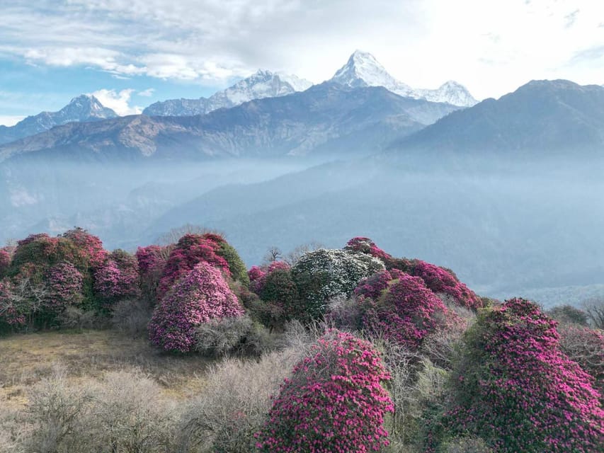 Pokhara: 7-Day Annapurna Base Camp Via PoonHill & Hot Spring - Guides, porters, and the human side of the trip