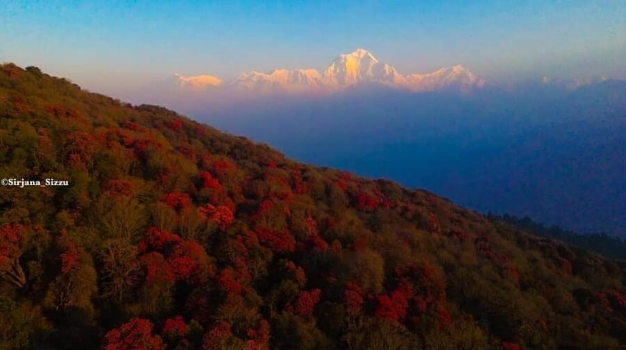 Pokhara: 7-Day Annapurna Base Camp Via PoonHill & Hot Spring - Day 3: Chuile to Sinuwa beside the rivers