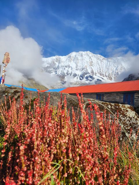 Pokhara: 9-Day Annapurna Base Camp Trek with Poon Hill - Day 8: Bamboo to Jhinu Danda and its hot spring