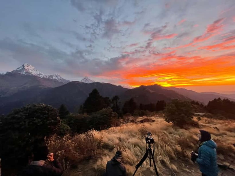 Pokhara: 9-Day Annapurna Base Camp Trek with Poon Hill - Day 7: Descending from base camp to Bamboo