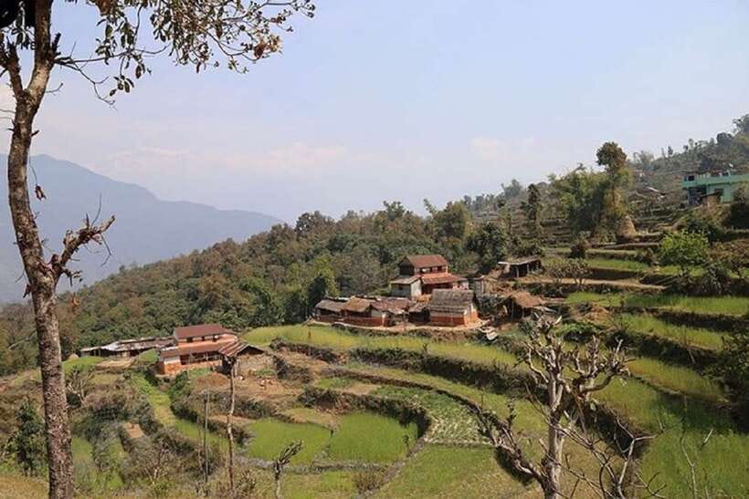 Pokhara: Annapurna Day Hike with Panoramic Views - Key Points Before You Book