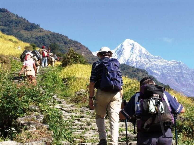 Pokhara: Annapurna Day Hike with Panoramic Views - Starting From Pokhara and Driving to Kande